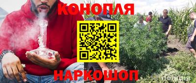 ГАЛЛЮЦИНОГЕННЫЕ ГРИБЫ Краснознаменск