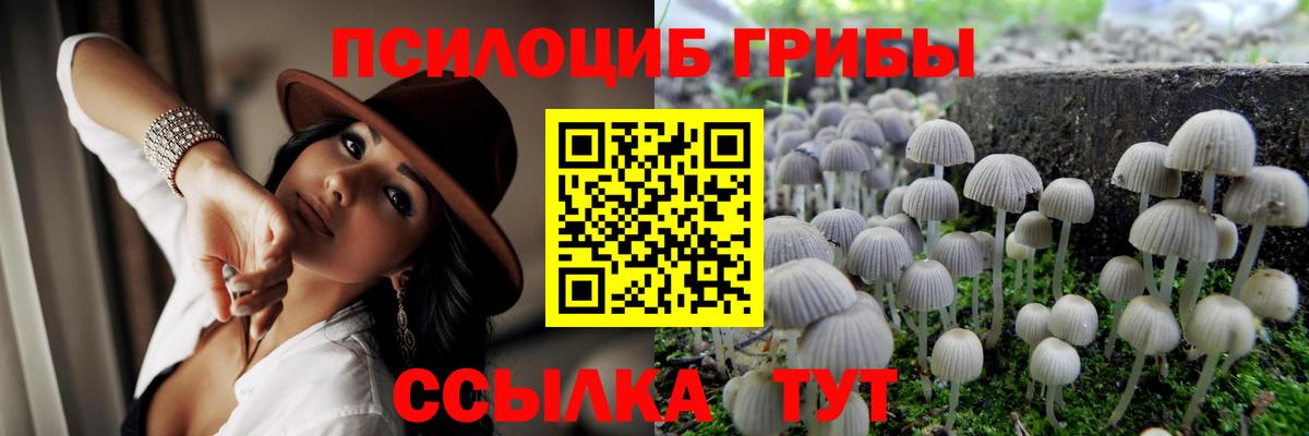 Меф МЯУ МЯУ кристаллы  Кокаин  Кизляр  ГАШ  ТГК  COCAIN  Конопля  Вход с VPN 